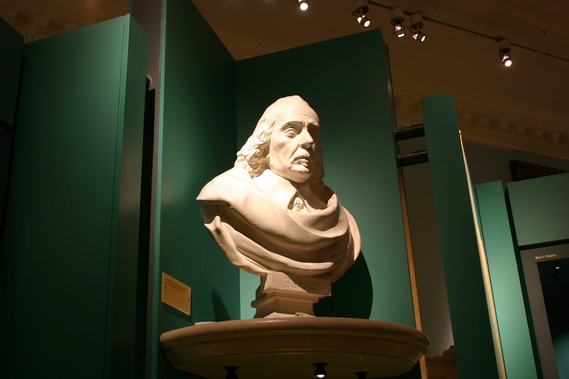 William Harvey's bust, Museum, St Bartholomew's Hospital, London.JPG